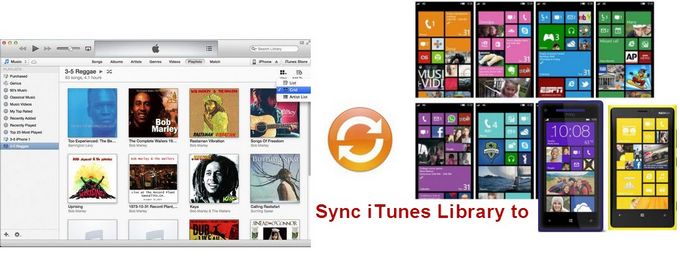 sync iTunes M4V to windows phone 8