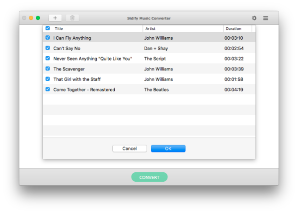 Add Audio