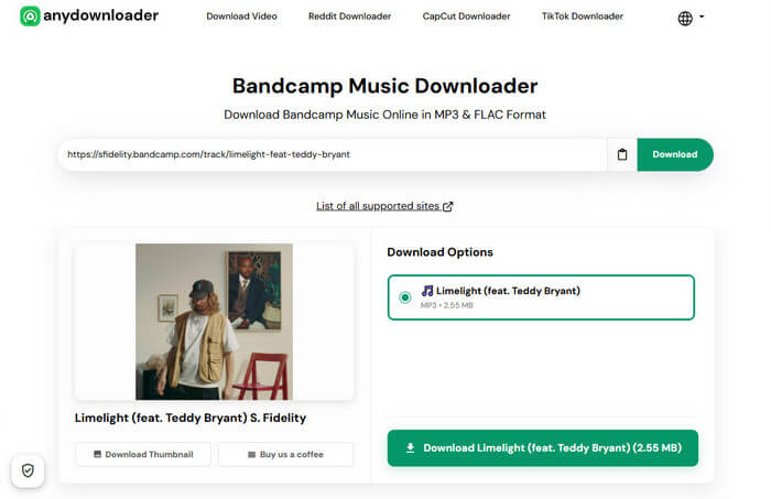 AnyDownloader Bandcamp Music Downloader