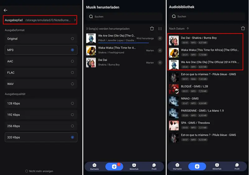 Einstellungen anpassen und Download starten