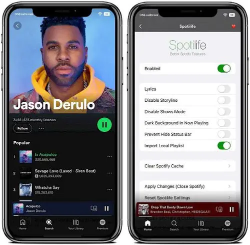 Spotilife IPA