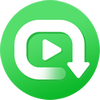Netflix video downloader logo