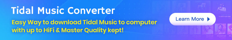 tidal music converter