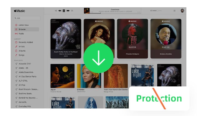 Download Apple Music without Protection