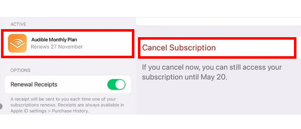 Cancel Audible through iPhone