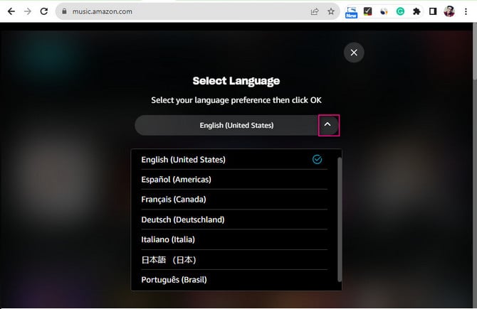 Select Language Menu on Web