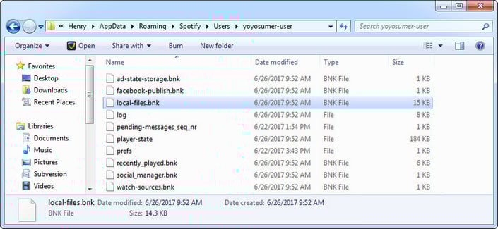 clear spotify local file cache