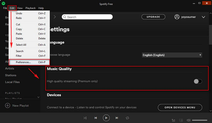 disable high quality streaming on spotify