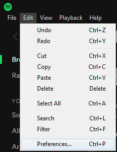 Set Preferences on Spotify