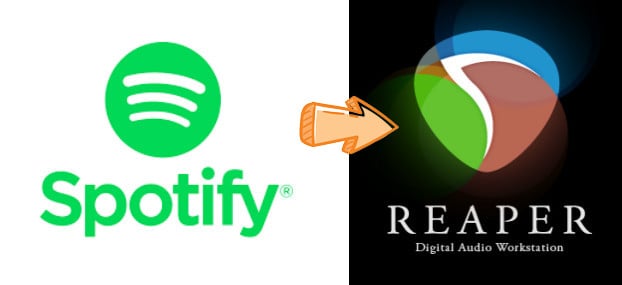 add spotify to reaper