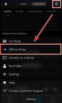 amazon music offline mode