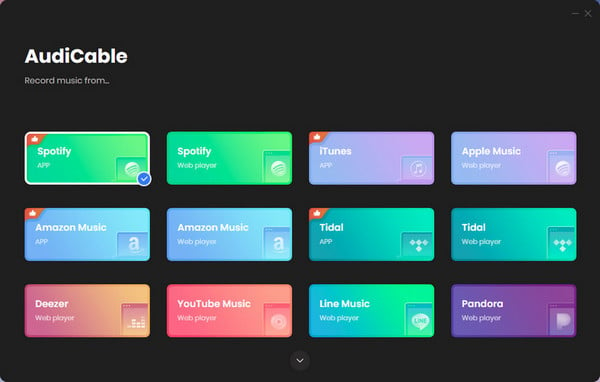 audicable tidal music recorder