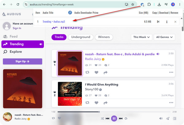 Audio Downloader Prime Chrome extension detecting and downloading Audius music
