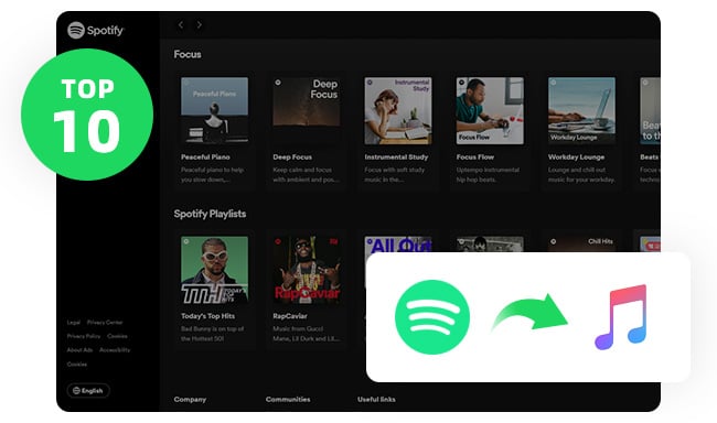 best spotify playlist to apple music converter