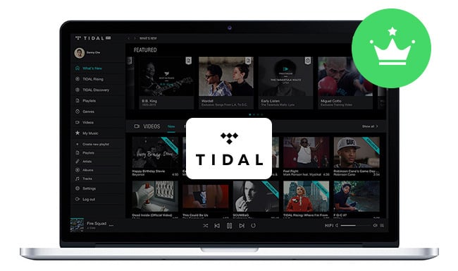 best Streamers for Tidal