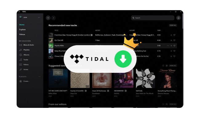 Best Free/Paid Tidal Music Downloaders