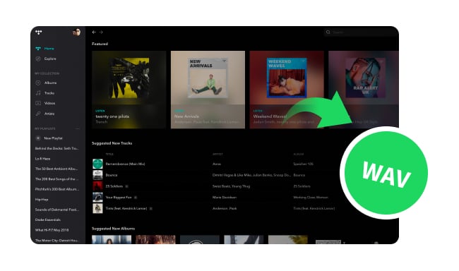 best tidal music to wav converter