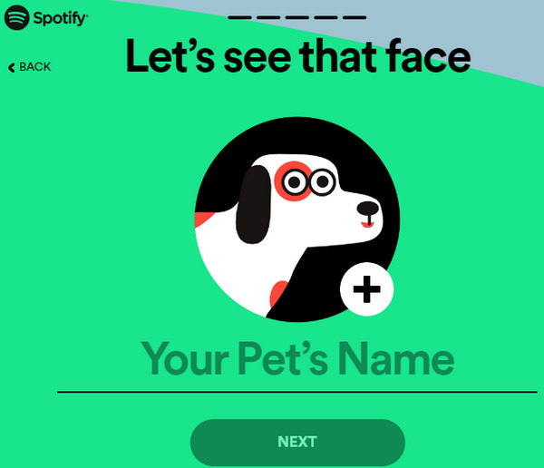 input your pet's name and upload a picture