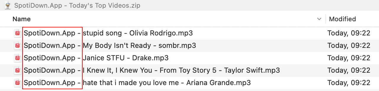 SpotiDown Filename