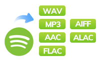 spotify music converter