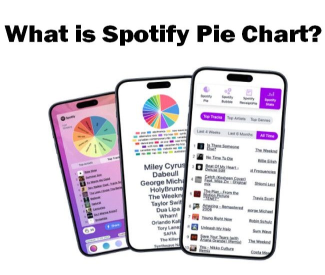 What Is Spotify Pie Chart