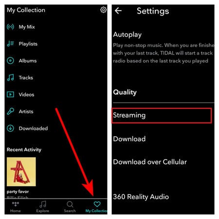 tidal music quality settings