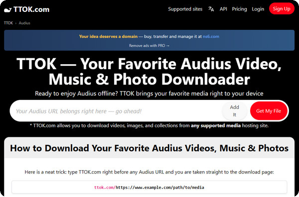 TTOK online Audius downloader for saving audio and images