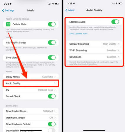 turn on audio lossless on iphone