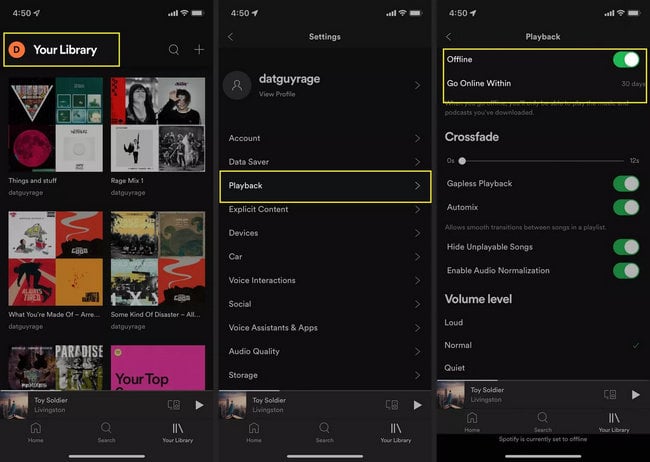 turn on spotify music offline mode