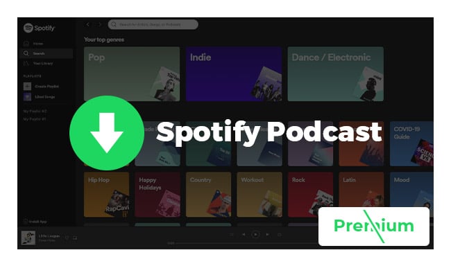 Download Spotify Playlist to MP3