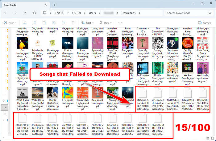 spotdown download failure