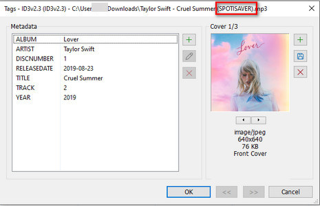 spotdownloader watermarked title
