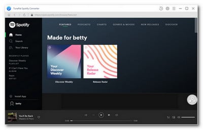 tunepat spotify music converter