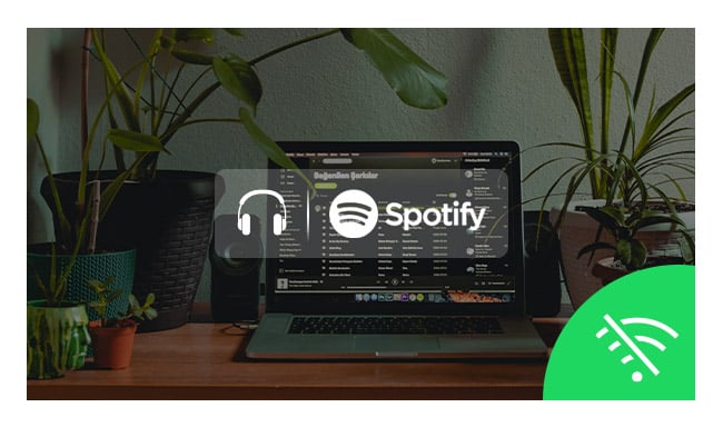 spotify internet