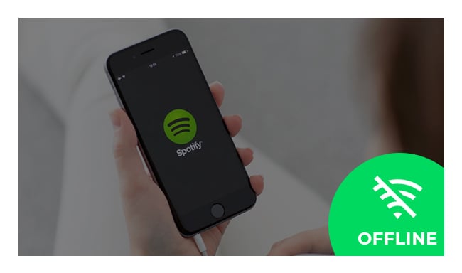 Can you use djay and spotify offline download
