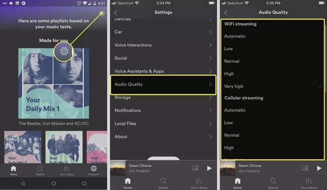 improve spotify music quality on mobile