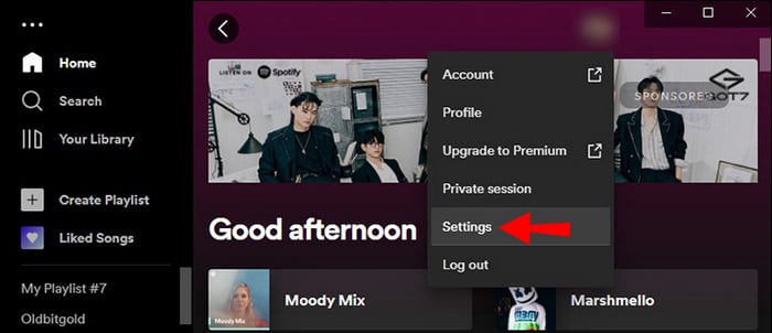 spotify setting