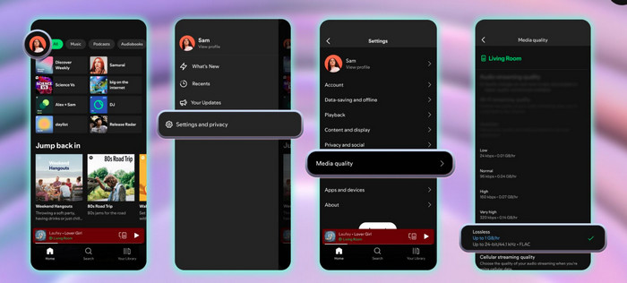 Get Spotify Lossless Mobile