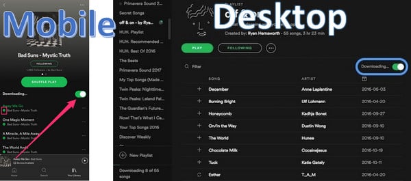 Download Spotify Music