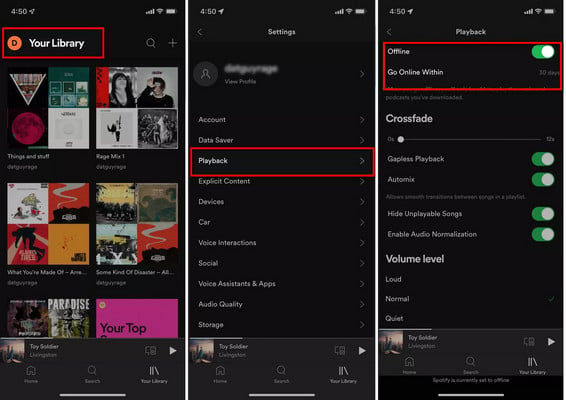 enable spotify Offline Mode