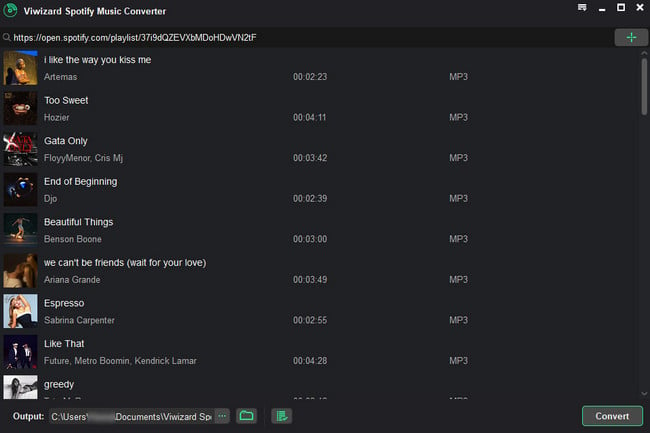 ViWizard spotify converter main interface