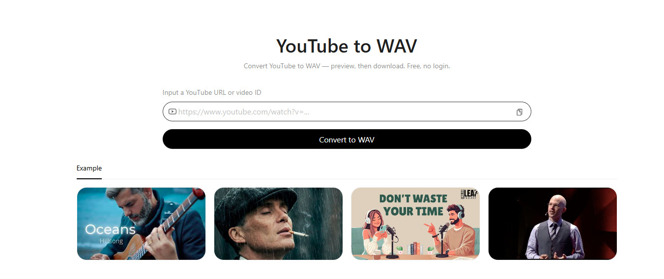 youtubetowav.ai