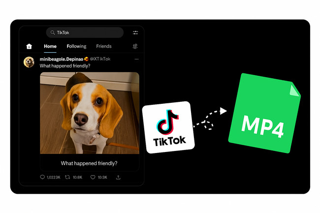 top tiktok video downloaders without watermark
