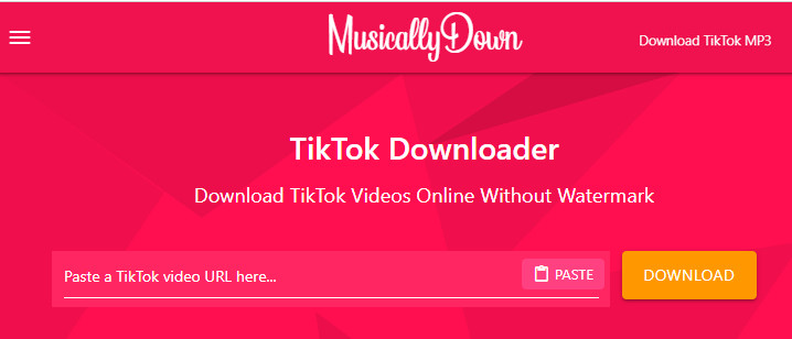 Watch TikTok videos on MusicallyDown