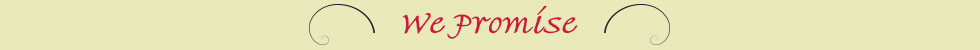 we promise