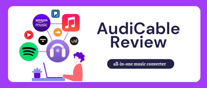 AudiCable Music One Review