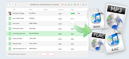 spotify compatible mp3 player spotify compatible mp3 player