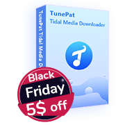 tidal music converter