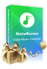 Tidal Music Converter